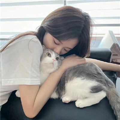 我把忠诚献给你 封面
