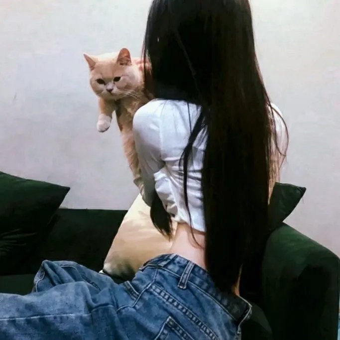 女人的日历 封面